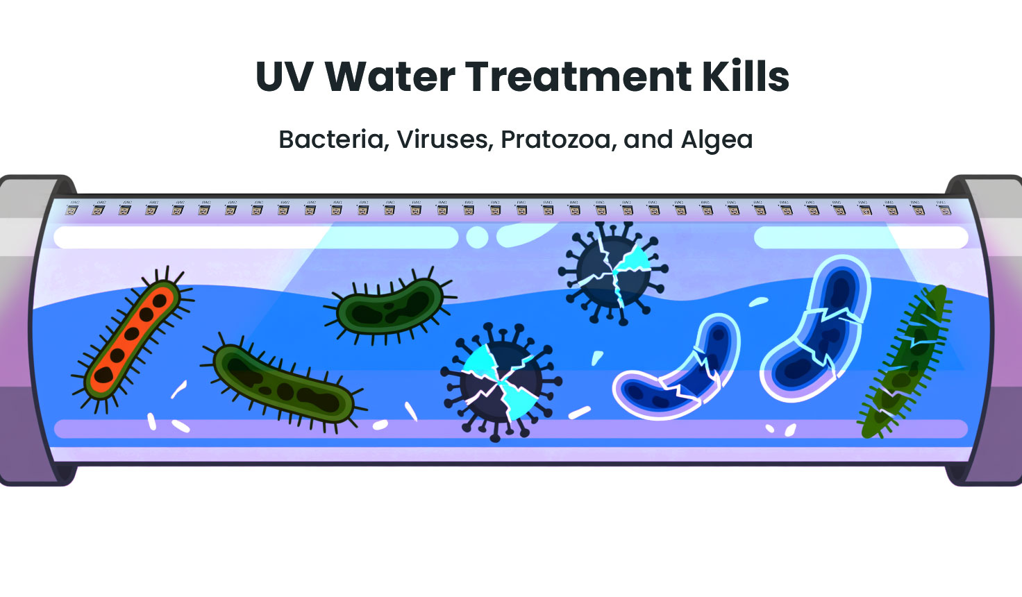 What Microorganisms Are Killed by UV Water Treatment?