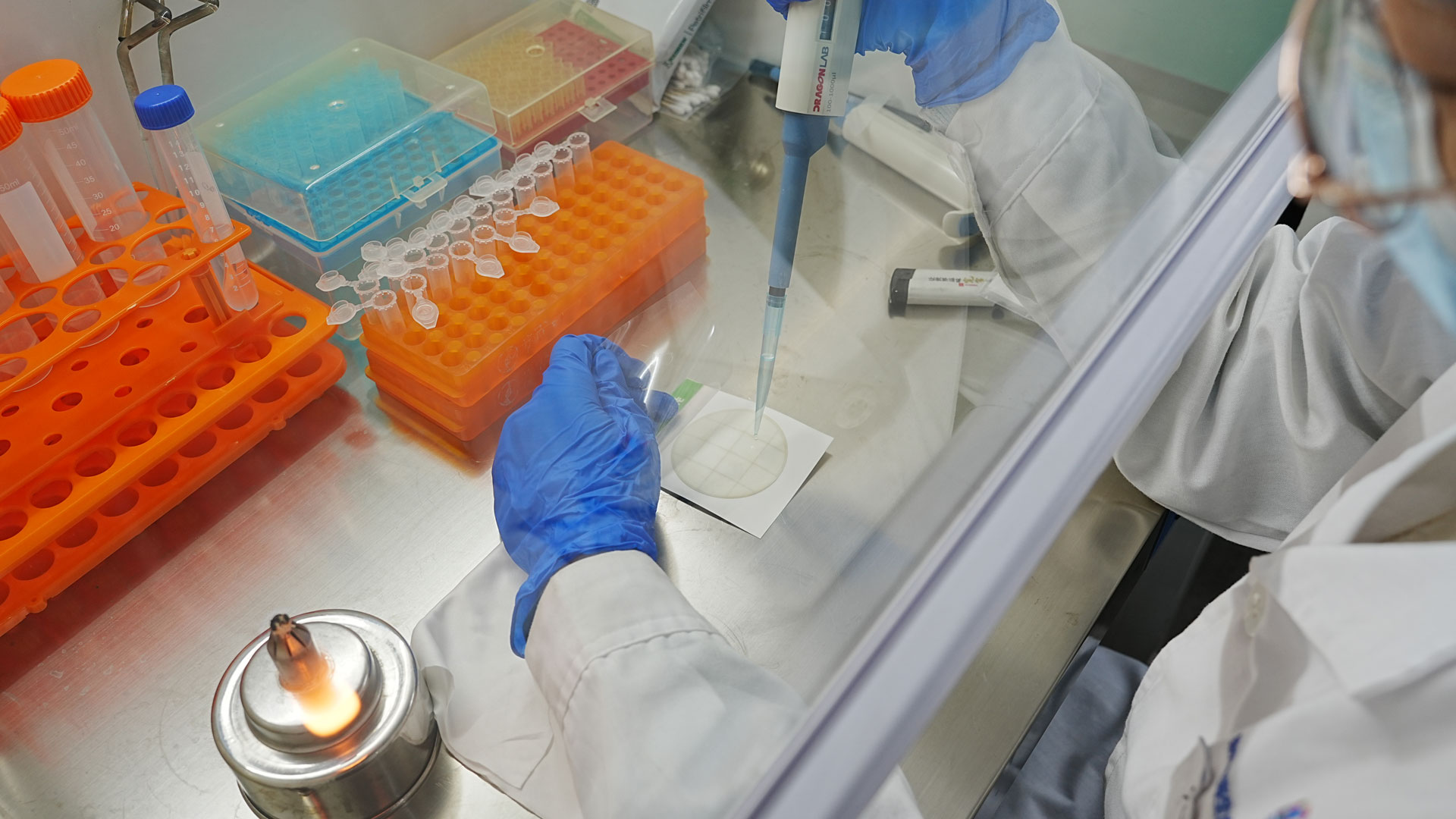 مراقبة المصنع والجودة