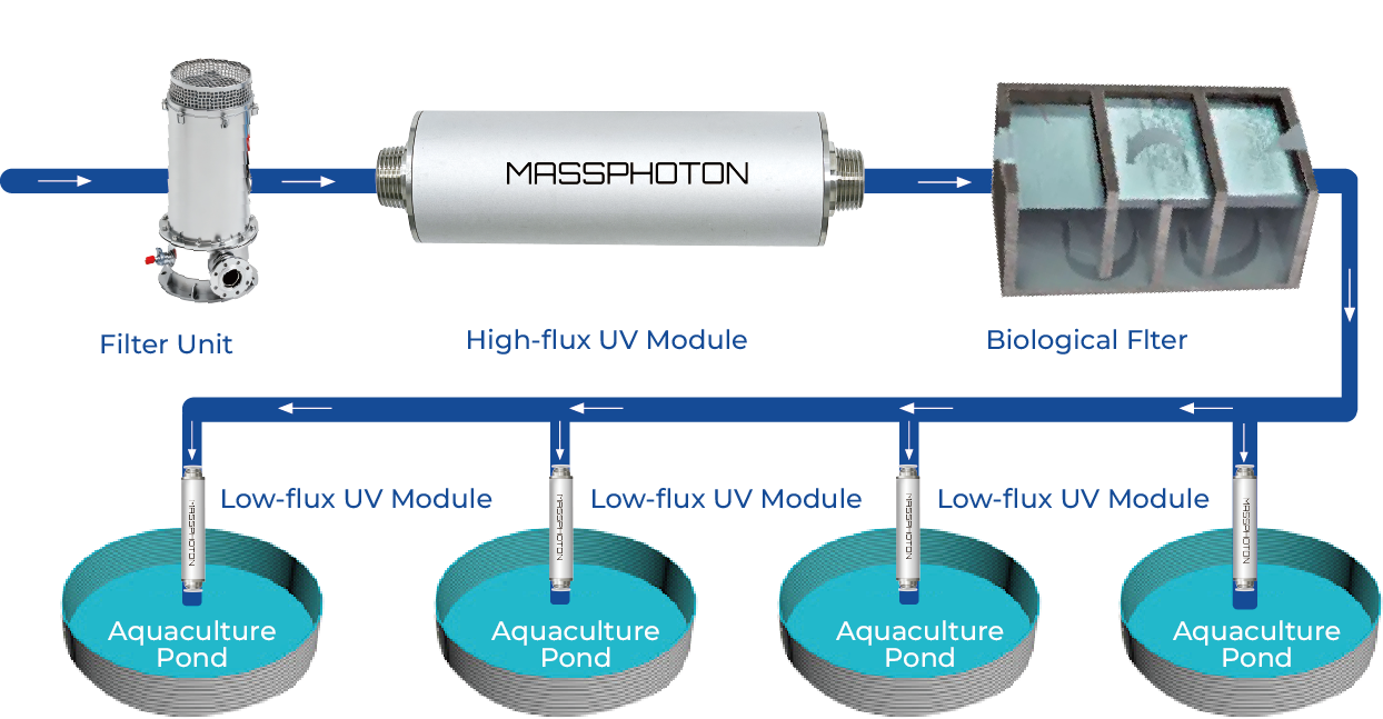 نظام تجاري لتطهير المياه بالأشعة فوق البنفسجية مدمج في مزرعة تربية الأحياء المائية